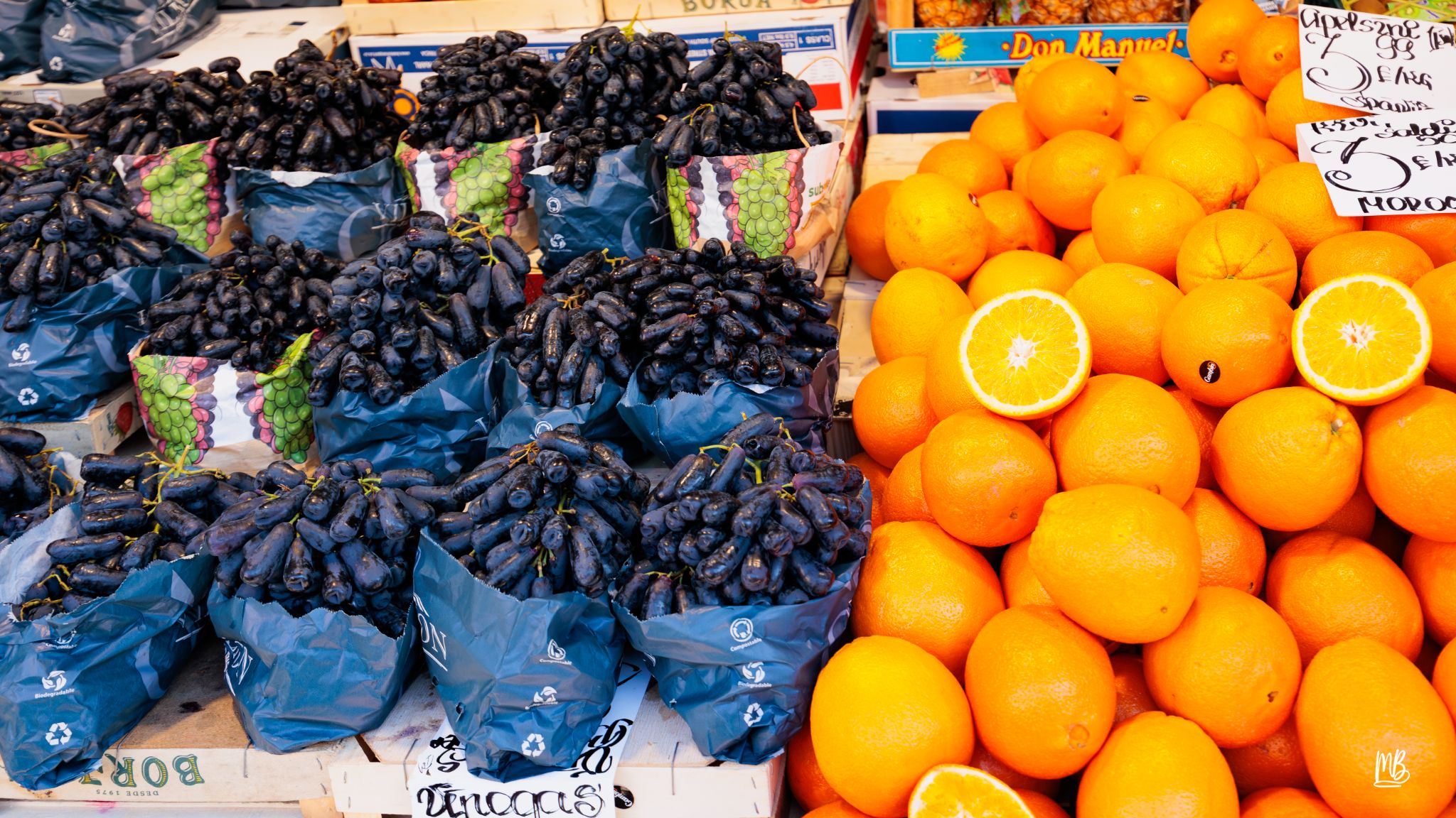 2024   Riga   MB 256